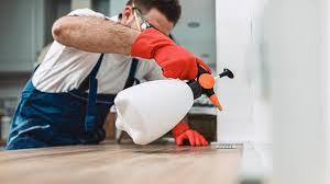 Best Real Estate Pest Inspections  in Leisuretowne, NJ